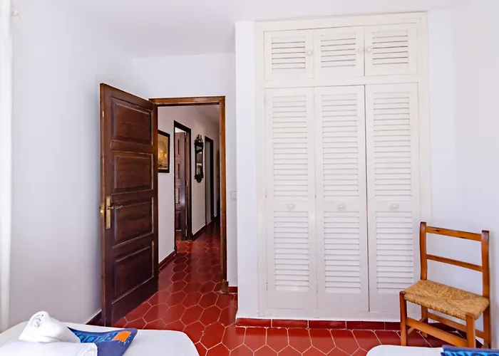 Palmeras 비니베카