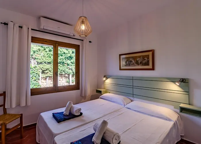 Palmeras 비니베카