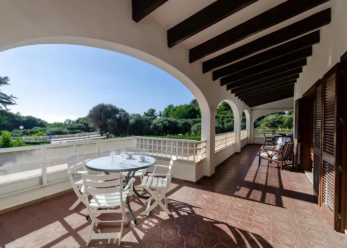 Palmeras 비니베카