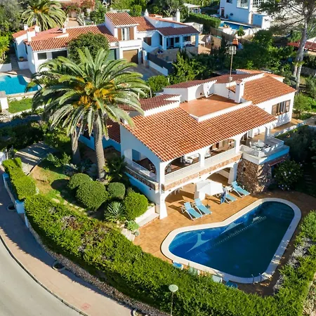 Palmeras