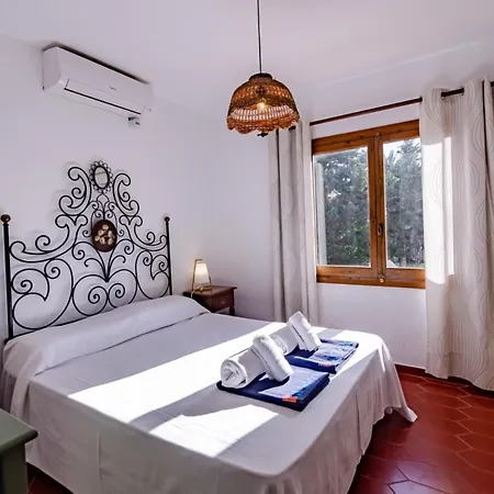 Palmeras Villa Binibeca