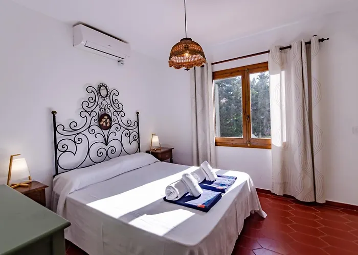 Palmeras Villa Binibeca